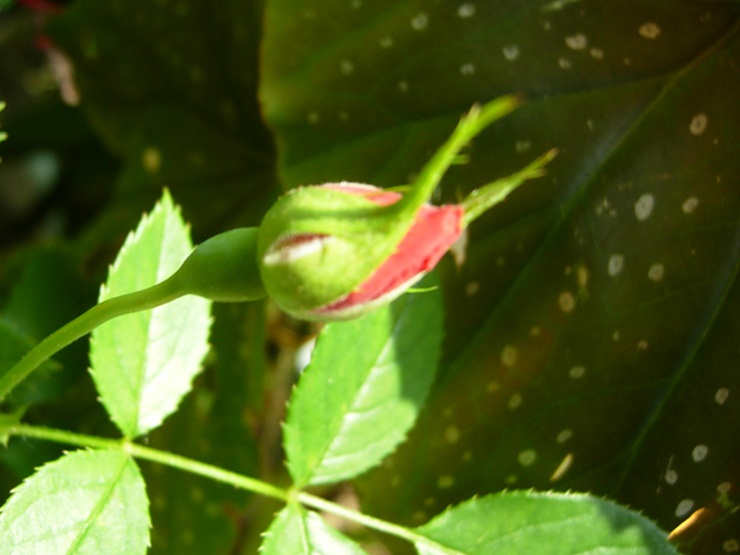 21-10-1 026.JPG