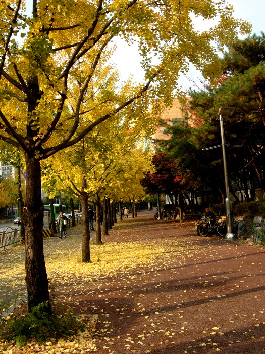 DSCN0008.JPG
