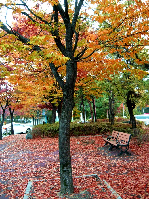 DSCN0017.JPG