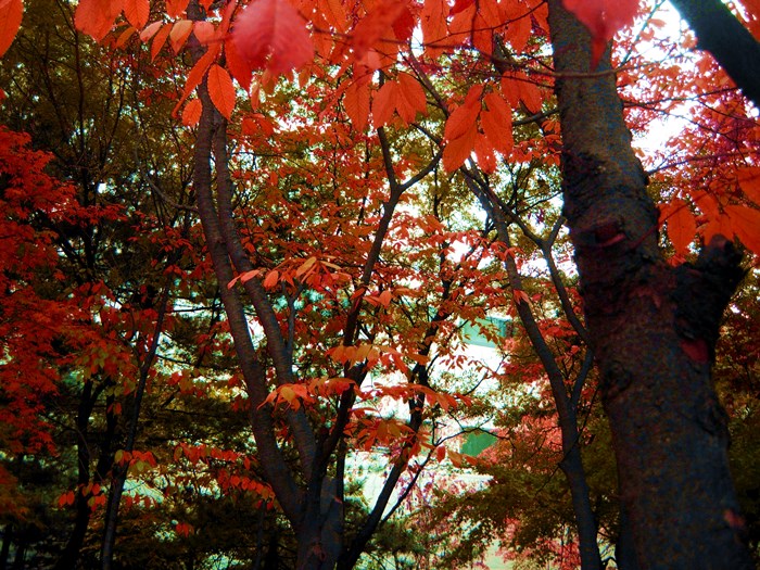 DSCN0030.JPG