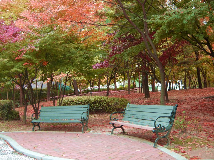 DSCN0033.JPG