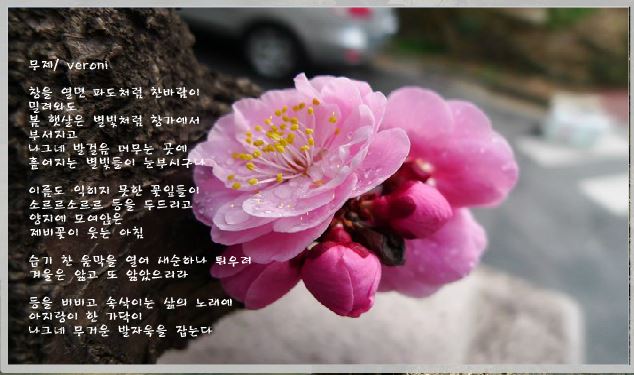 캡처.JPG