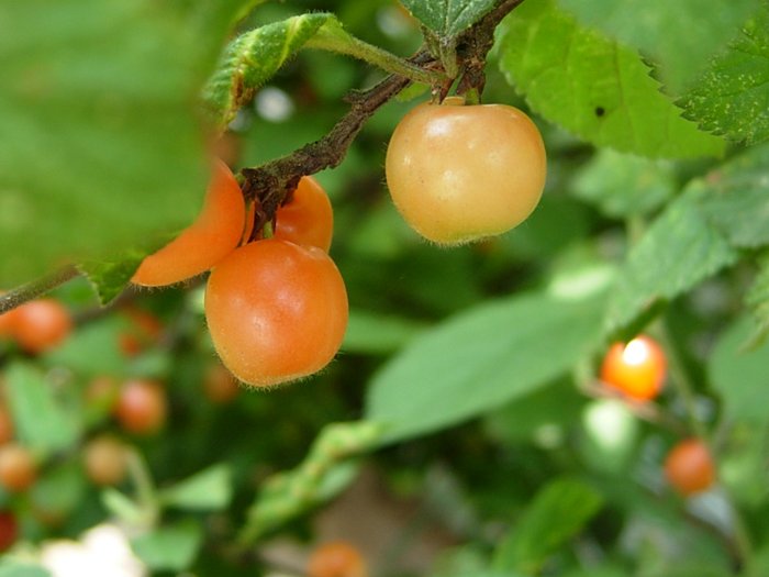 사진 027.jpg