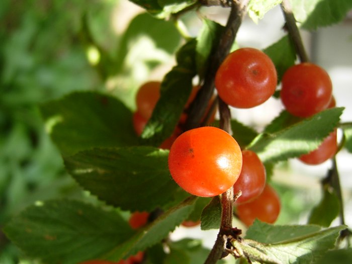 사진 028.jpg