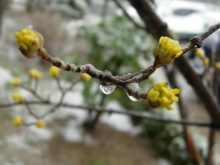 DSCN4662.jpg