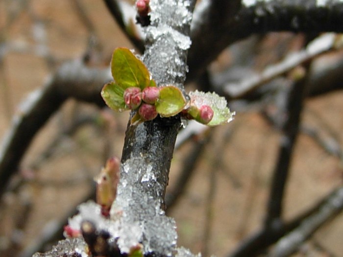 DSCN4672.jpg