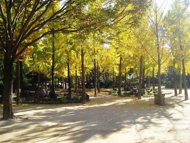 사진 061.jpg