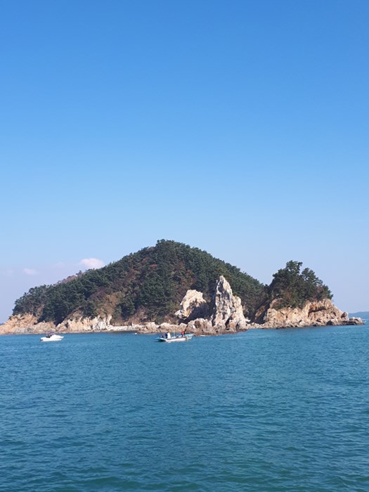 205.jpg
