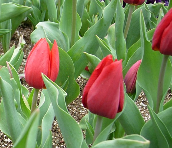 DSCN4737.jpg