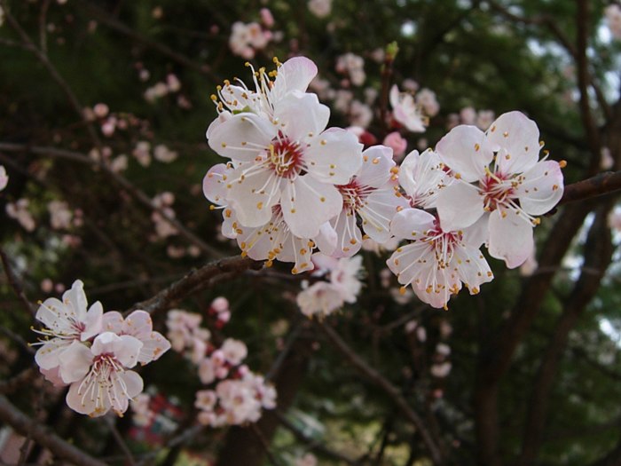 DSCN4748.jpg