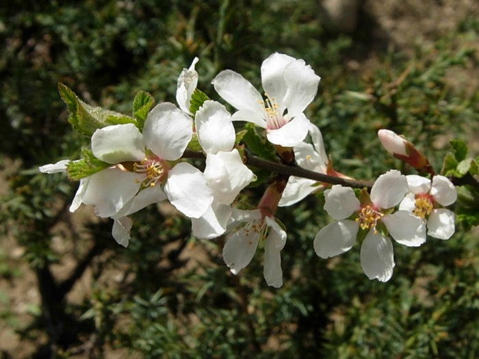 DSCN4758.jpg
