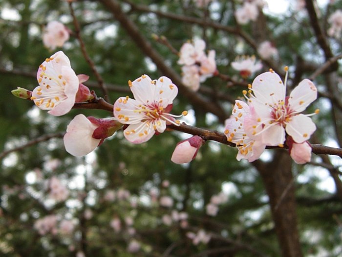 DSCN4751.jpg