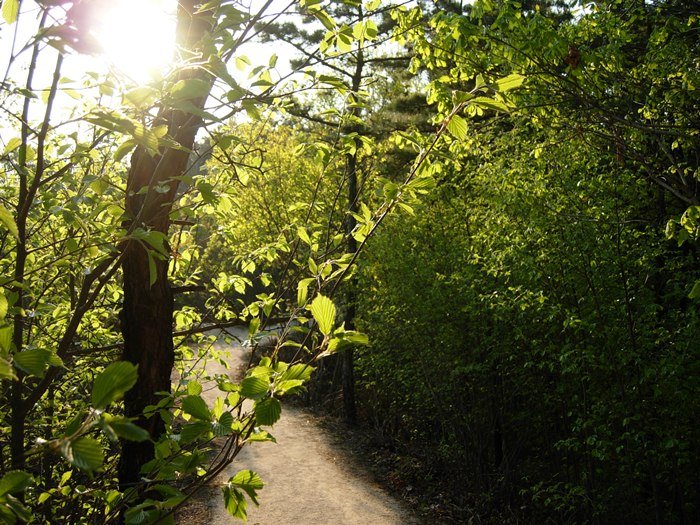 DSCN4857.jpg