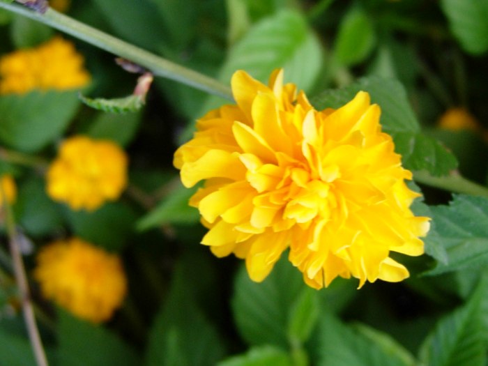 DSCN4876.jpg