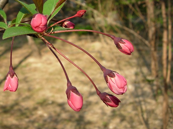 DSCN4887.jpg