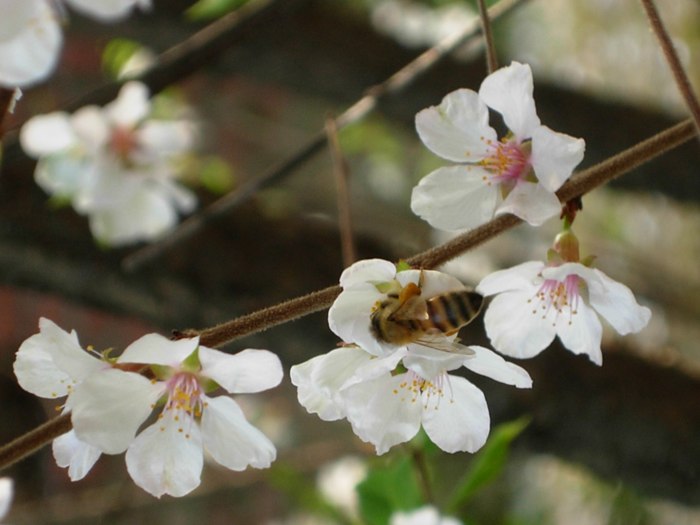 DSCN4891.jpg