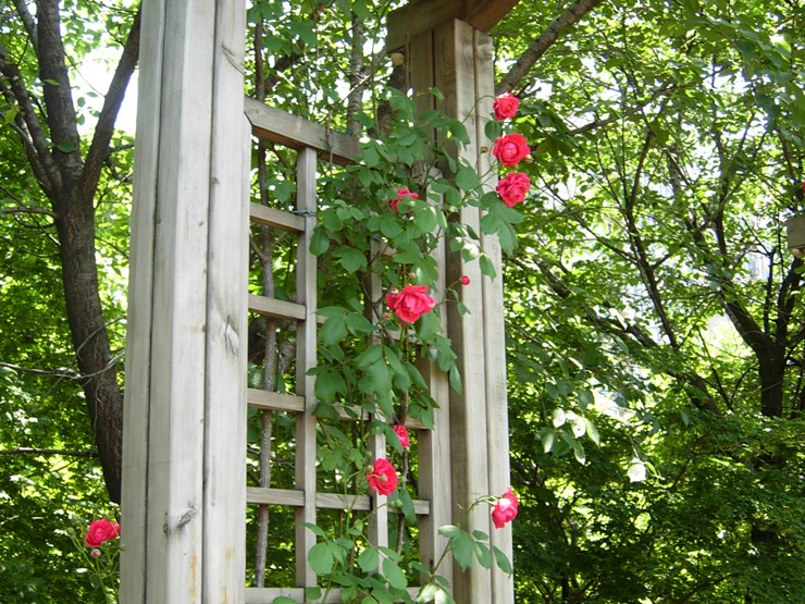 DSCN6952.JPG