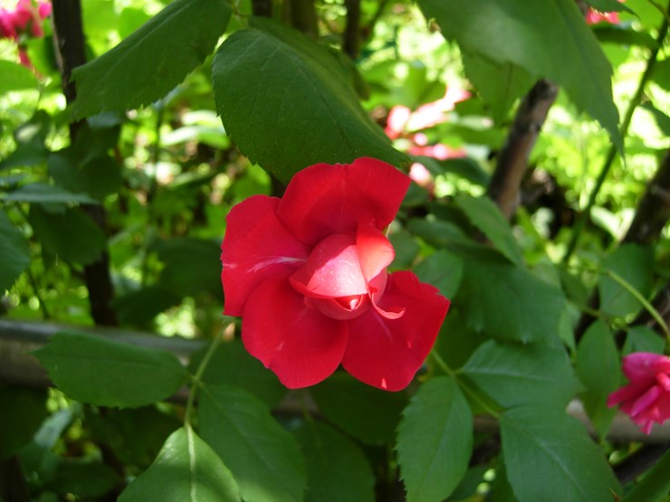 DSCN6957.JPG
