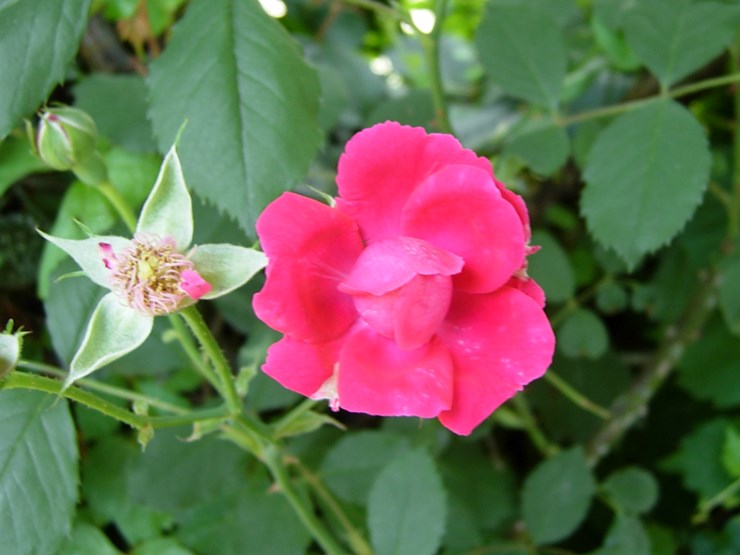 DSCN6958.JPG