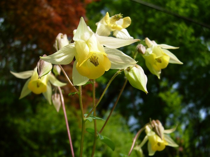 DSCN5029.jpg