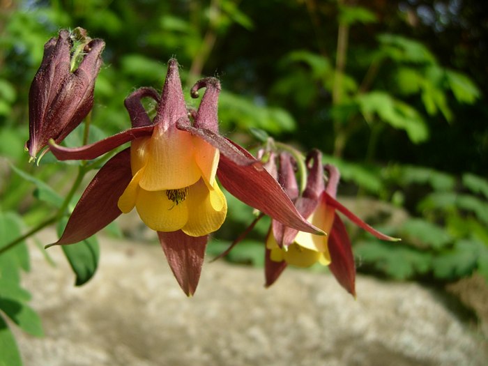 DSCN5031.jpg