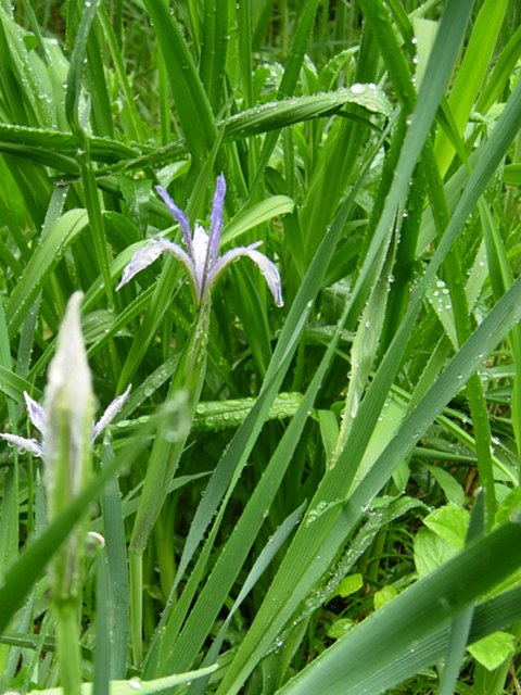 DSCN5053.jpg
