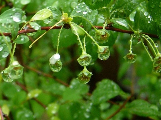 DSCN5062.jpg