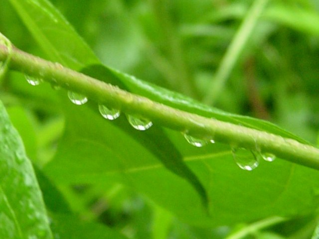 DSCN5113.jpg