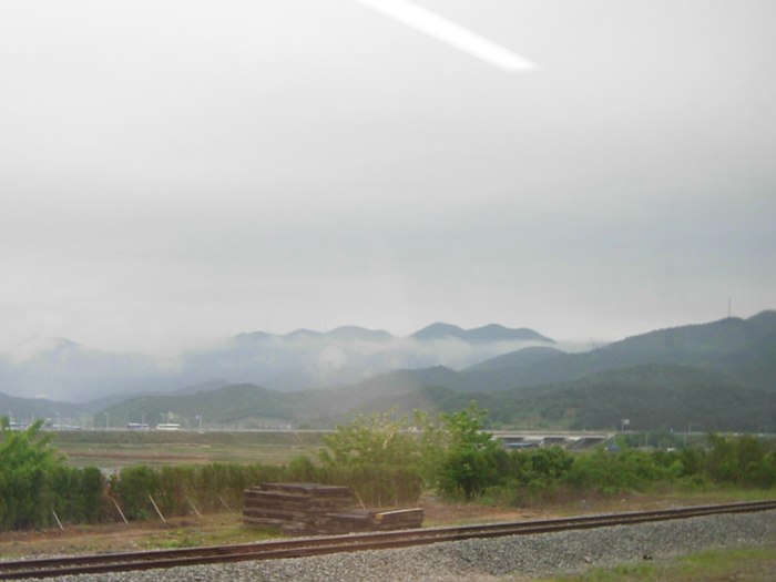DSCN5141.jpg