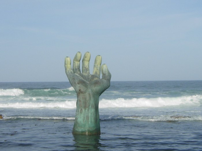 DSCN5233.jpg