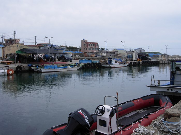 DSCN5245.jpg