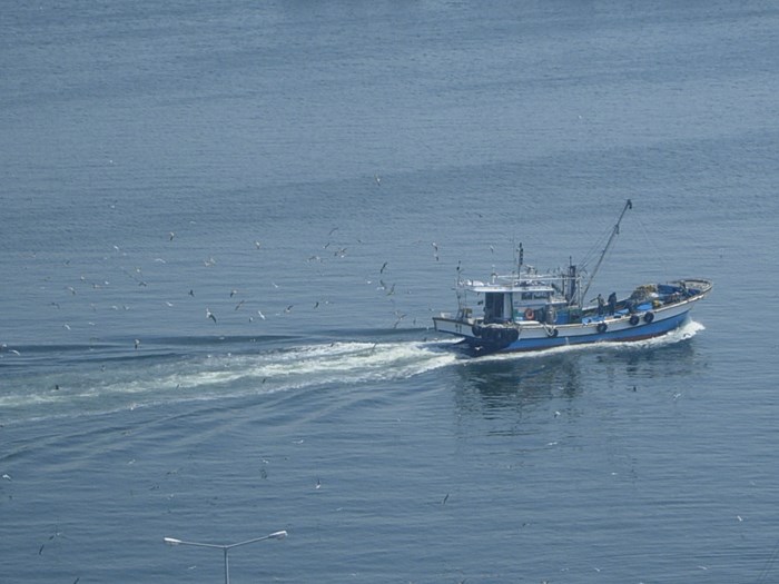 DSCN6835.JPG