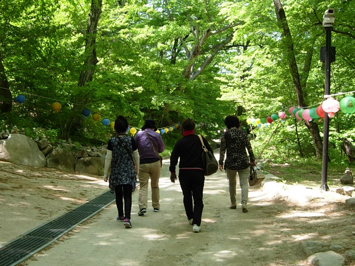 DSCN6840.JPG