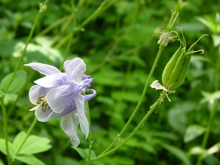 DSCN5311.jpg