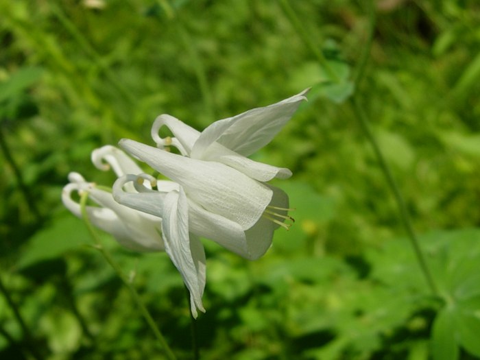DSCN5314.jpg