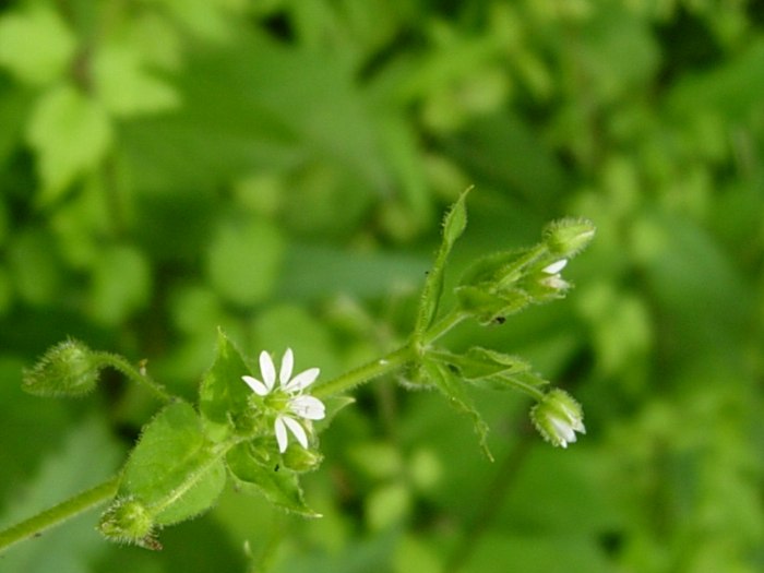 DSCN5327.jpg
