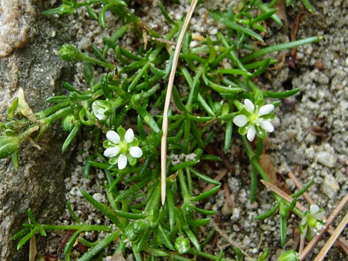 DSCN6849.JPG