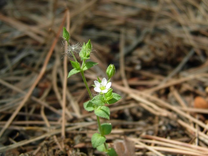 DSCN6850.JPG