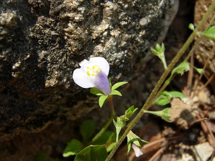 DSCN6851.JPG
