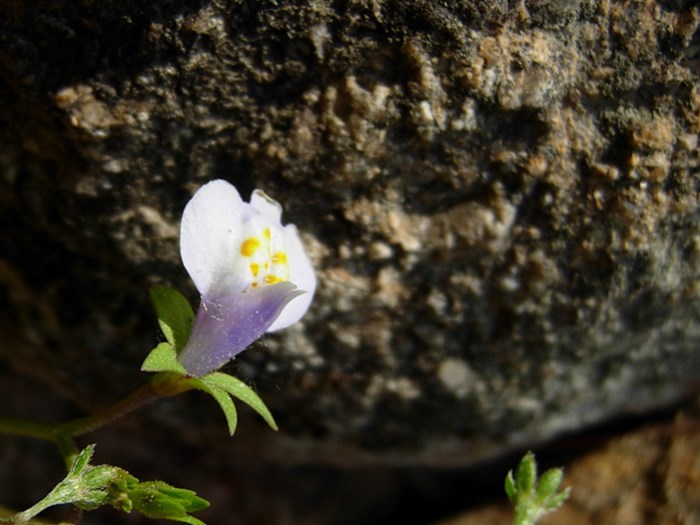DSCN6852.JPG