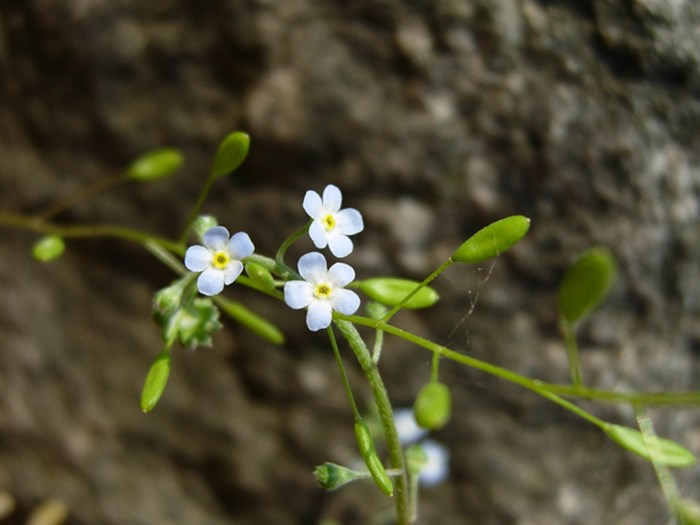DSCN6853.JPG