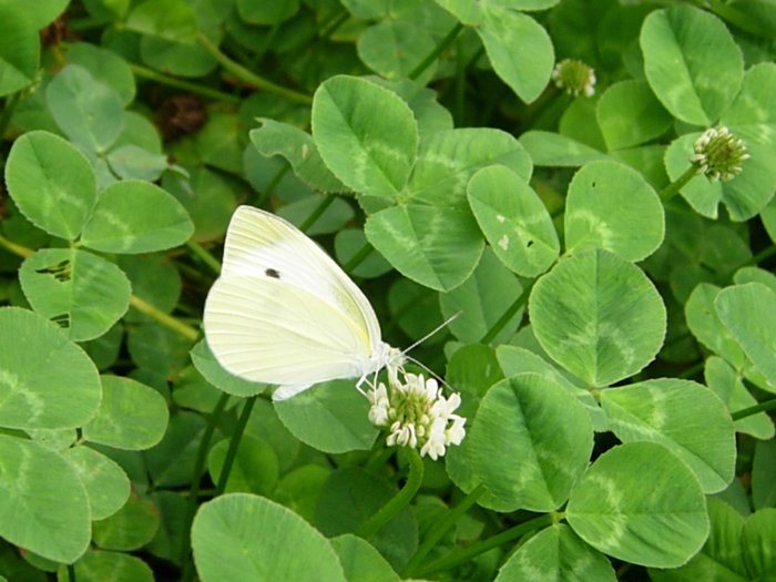 사진1 027.jpg