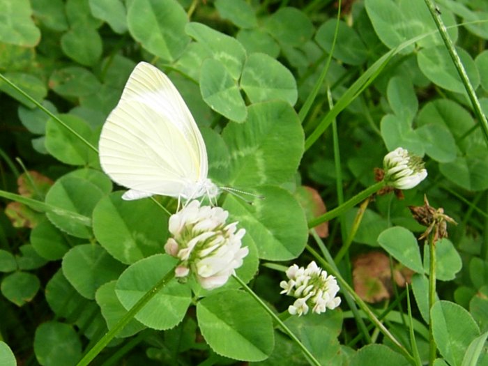 사진1 035.jpg