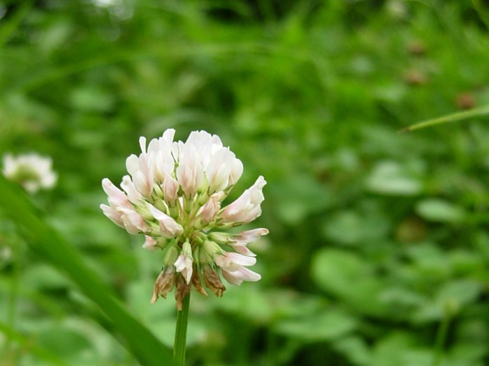 사진1 038.jpg