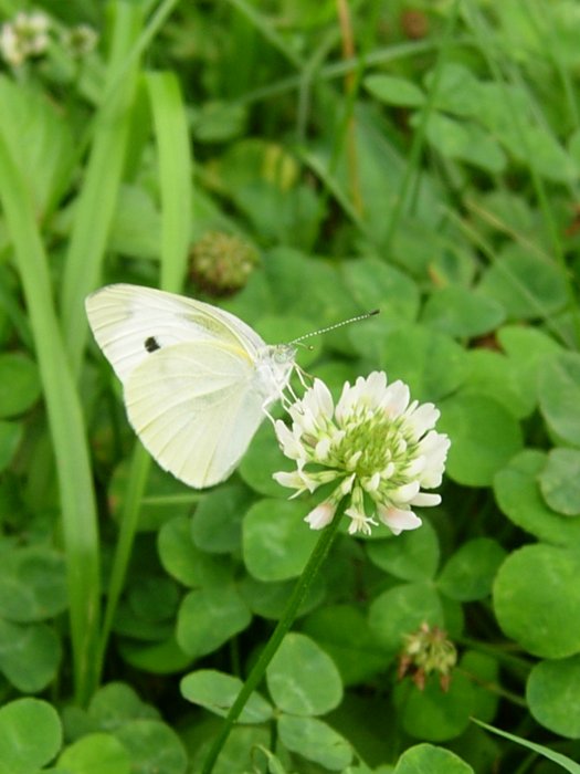 사진1 043.jpg