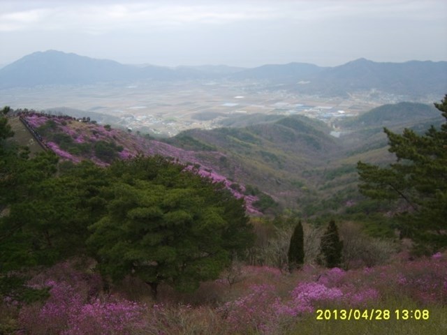 S8007875.jpg