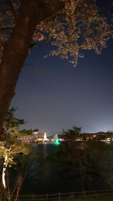 856.jpg