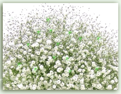 3.gif