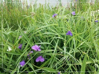 20130519_151418.jpg