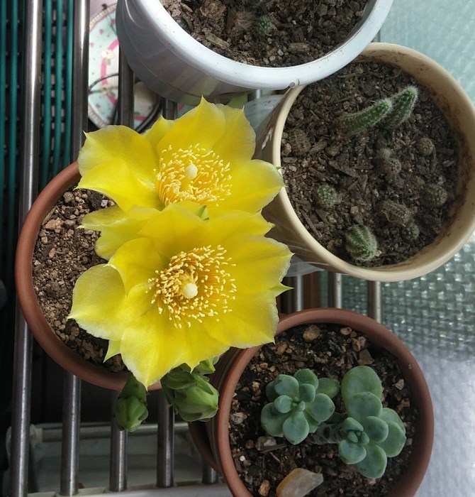 20180601_094436.jpg